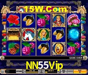 NN55Vip - Aplicativo Móvel