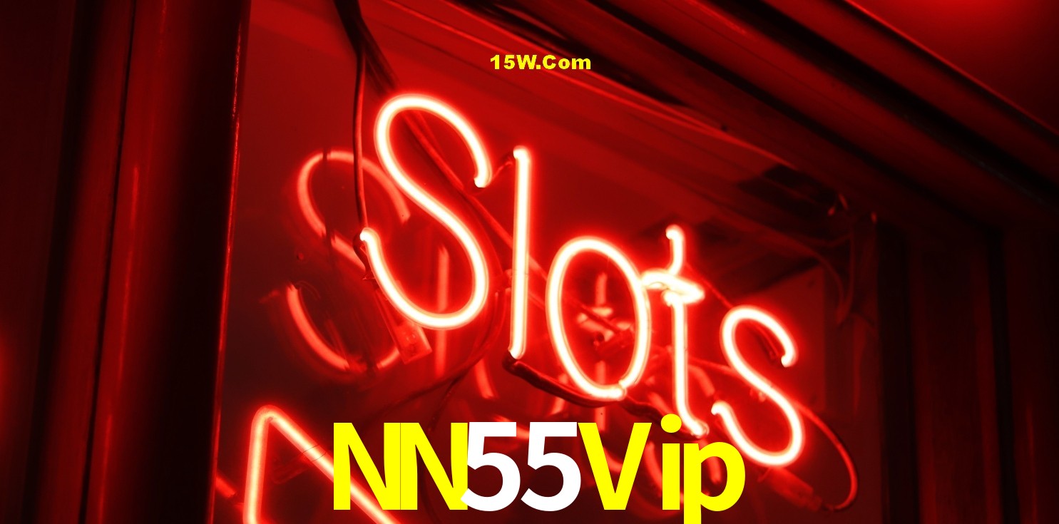 Security Systems NN55Vip